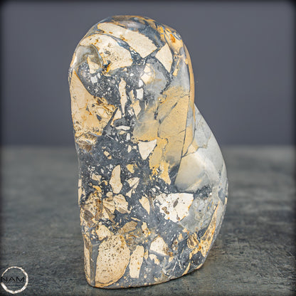 Natürliche Indonesische Picture Jasper-Kristall Freiform – 562,83g