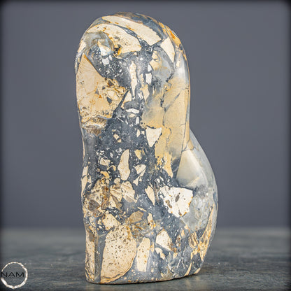 Natürliche Indonesische Picture Jasper-Kristall Freiform – 562,83g