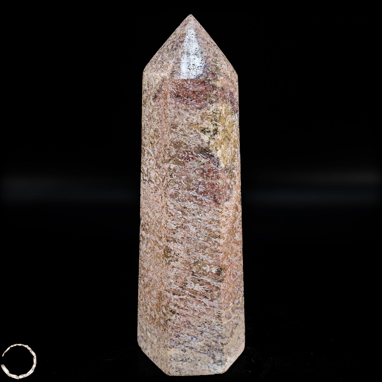 Natürliche Fossile Koralle als Obelisk - 860,65g