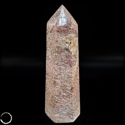 Natürliche Fossile Koralle als Obelisk - 860,65g