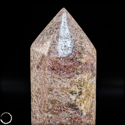 Natürliche Fossile Koralle als Obelisk - 860,65g
