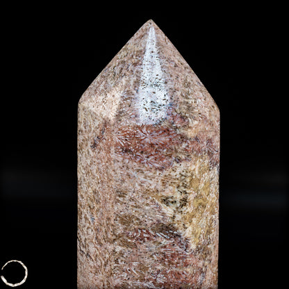 Natürliche Fossile Koralle als Obelisk - 860,65g