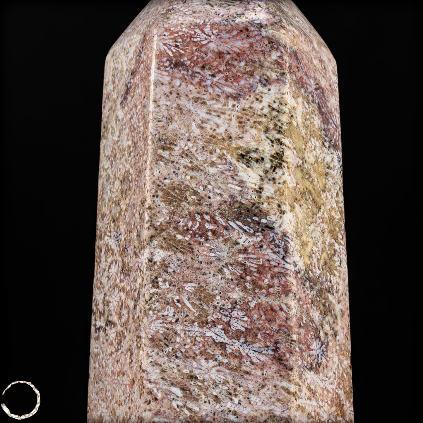 Natürliche Fossile Koralle als Obelisk - 860,65g