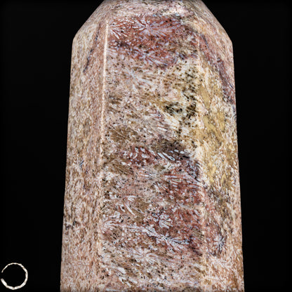Natürliche Fossile Koralle als Obelisk - 860,65g