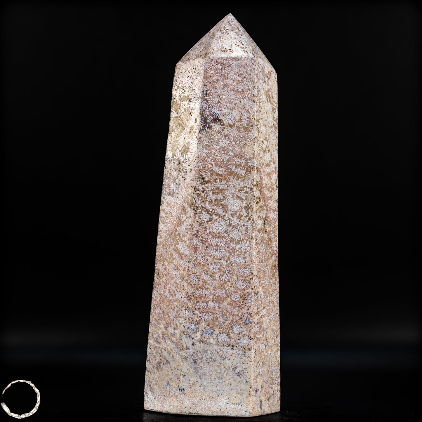 Natürliche Fossile Koralle als Obelisk - 860,65g
