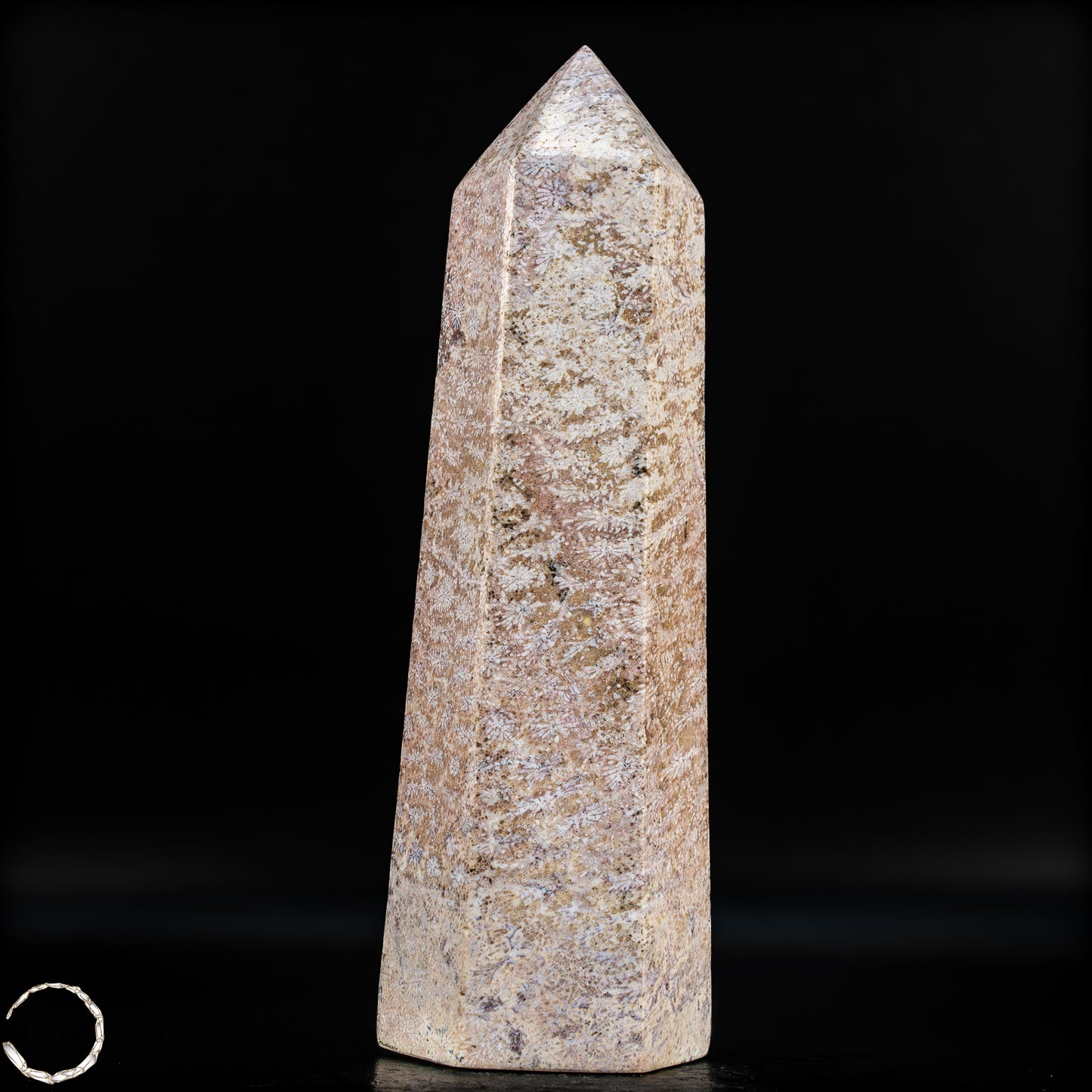 Natürliche Fossile Koralle als Obelisk - 860,65g