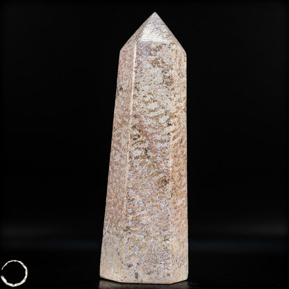 Natürliche Fossile Koralle als Obelisk - 860,65g