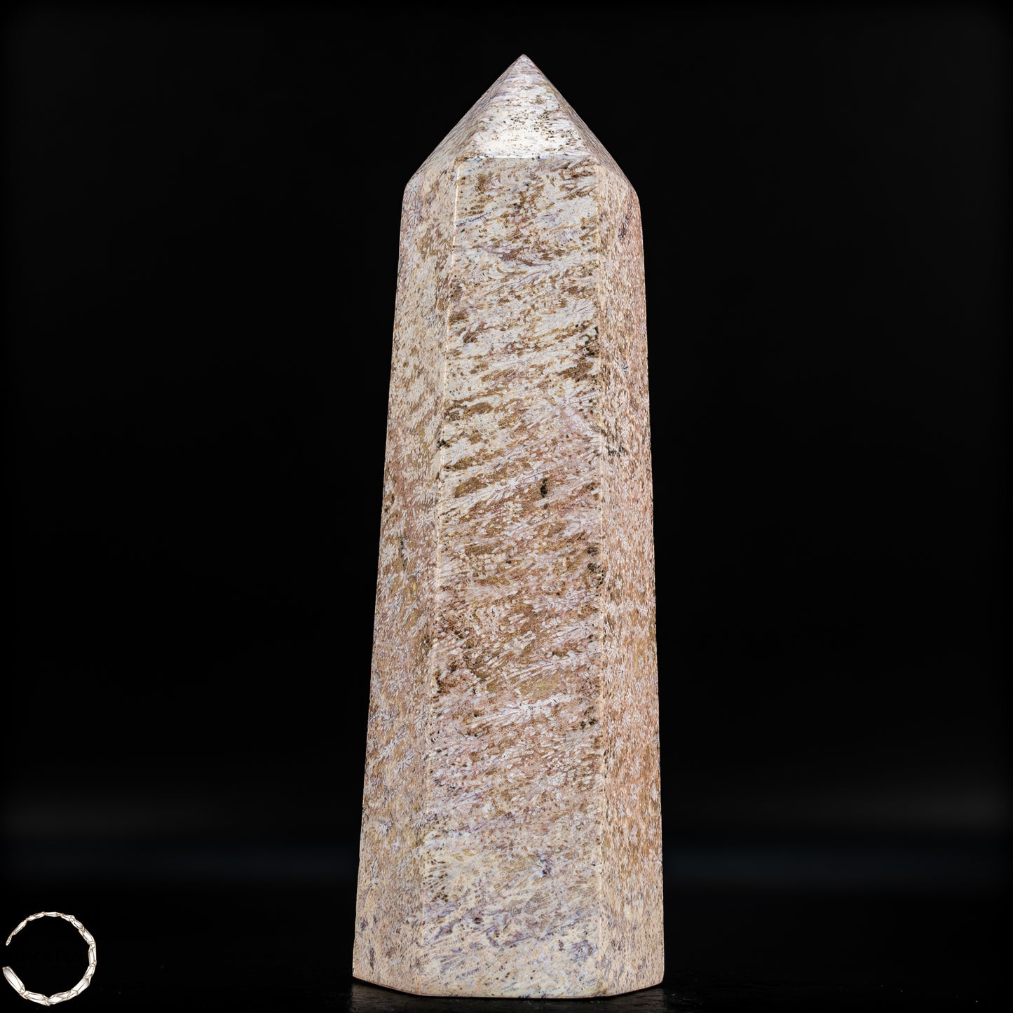 Natürliche Fossile Koralle als Obelisk - 860,65g