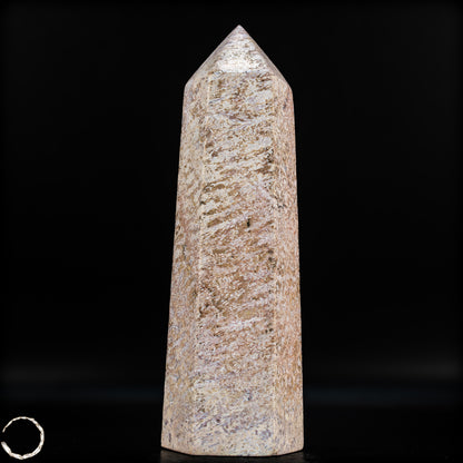 Natürliche Fossile Koralle als Obelisk - 860,65g