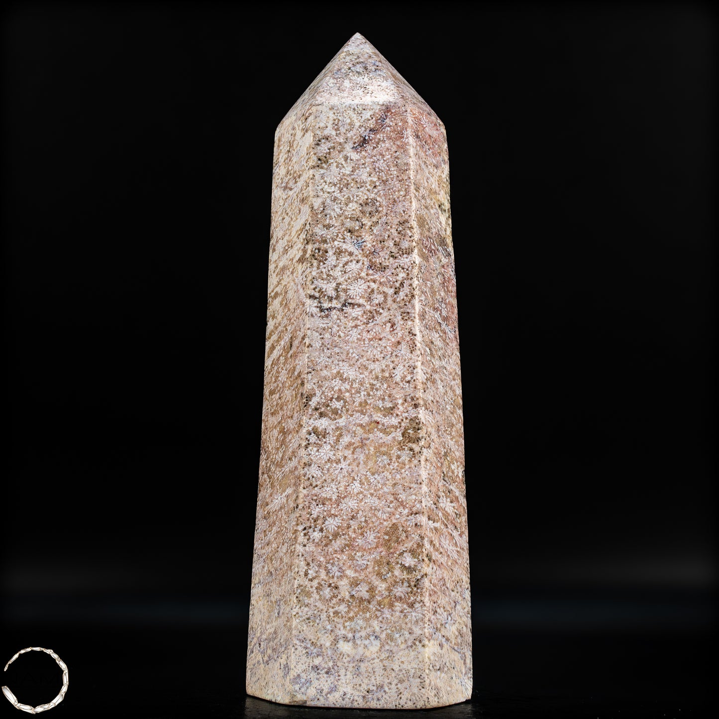 Natürliche Fossile Koralle als Obelisk - 860,65g