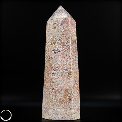 Natürliche Fossile Koralle als Obelisk - 860,65g