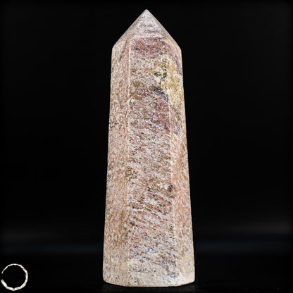 Natürliche Fossile Koralle als Obelisk - 860,65g