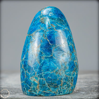Natürliche Blaue Apatit Kristall-Freiform - 797,63g