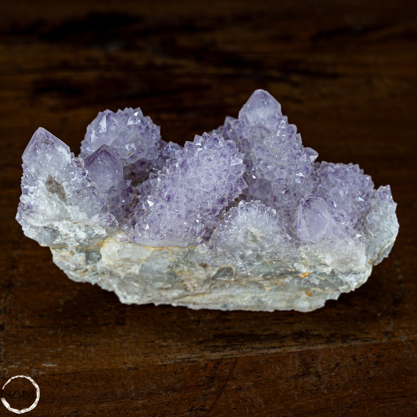 Kaktus-Amethyst Kristallcluster aus Südafrika - 518,53g