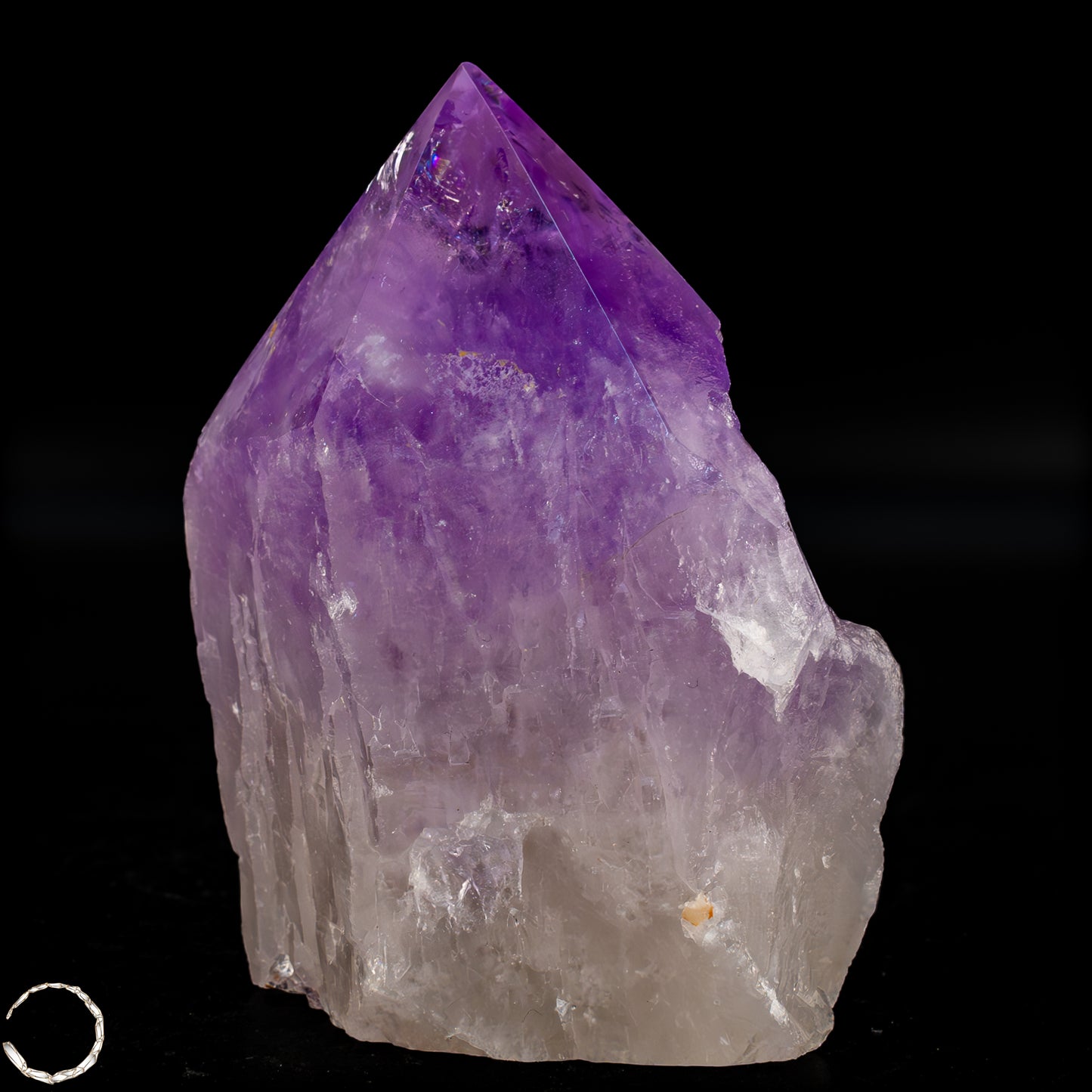 Natürliche, Sehr Seltene Amethyst-Kristall Spitze, Brasilien - 542,39g