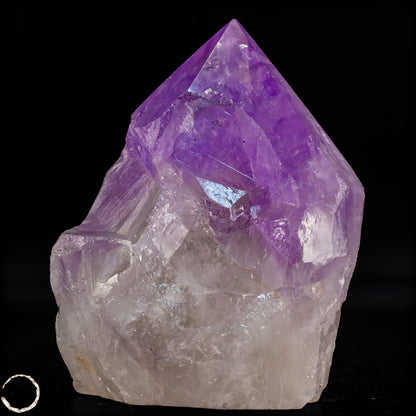 Natürliche, Sehr Seltene Amethyst-Kristall Spitze, Brasilien - 542,39g