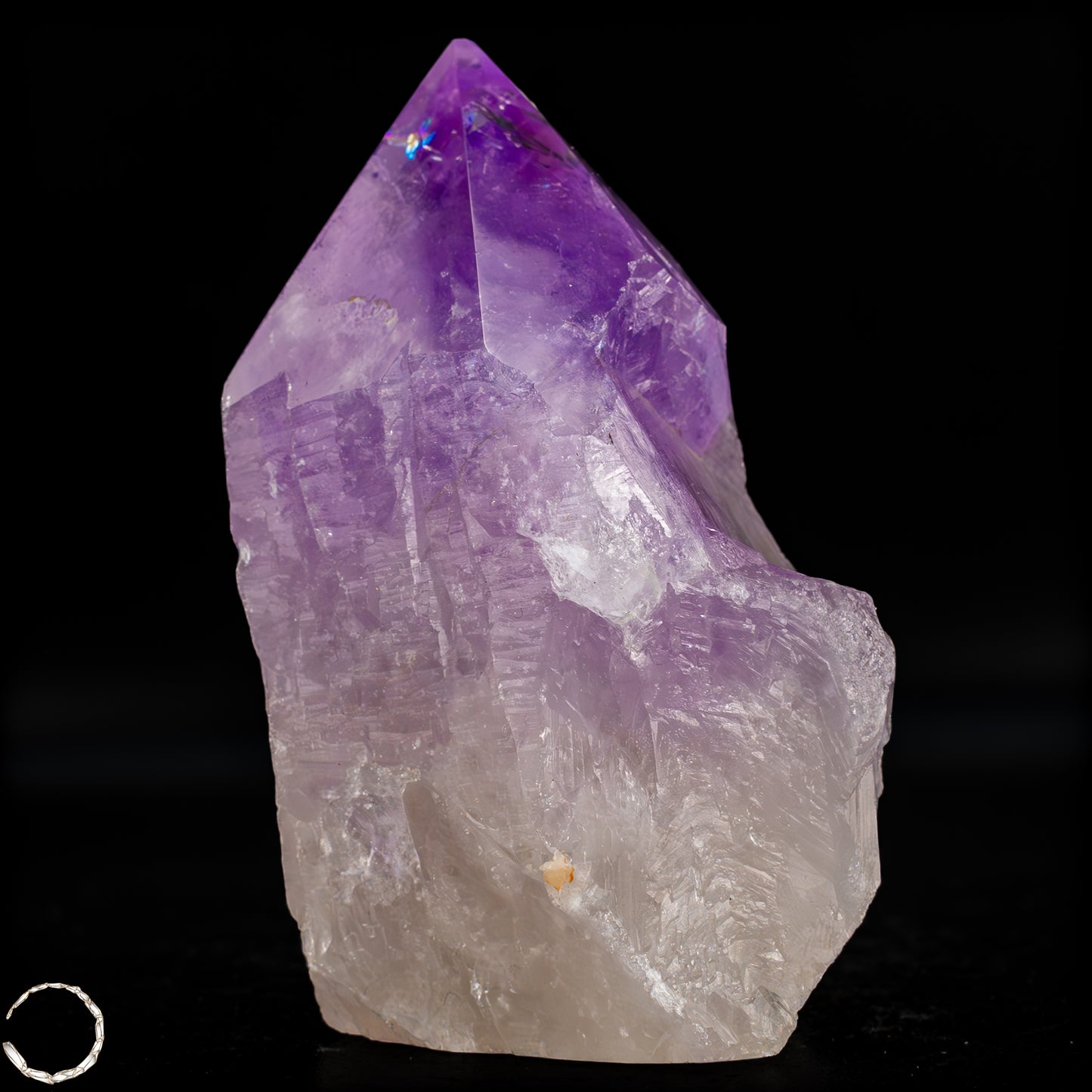 Natürliche, Sehr Seltene Amethyst-Kristall Spitze, Brasilien - 542,39g