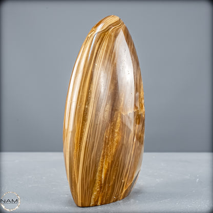 Natürliche Aragonit Freiform - 733,19g