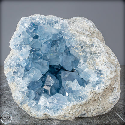 Natürliche Celestit Kristall-Druse - 9797,13g