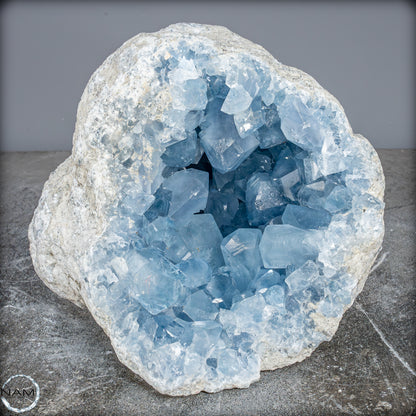 Natürliche Celestit Kristall-Druse - 9797,13g