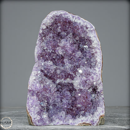 Natürliche Amethyst-Kristall Druse - 1013,71g