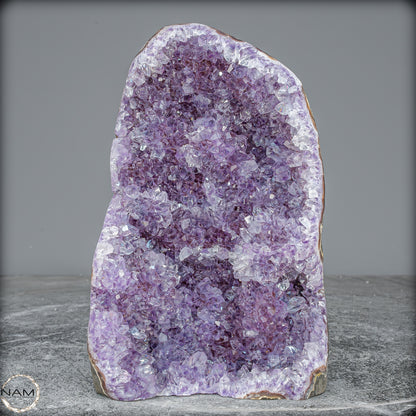 Natürliche Amethyst-Kristall Druse - 1013,71g