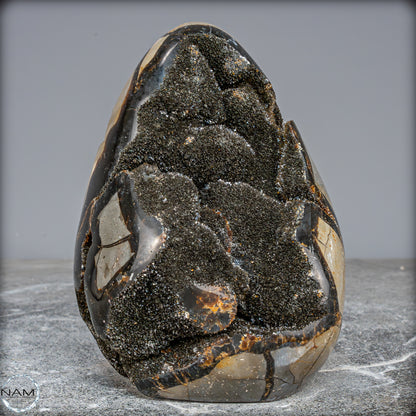 Natürliche Septarien Druse mit Calzit Kristallen, Spitzenqualität - 1805,41g