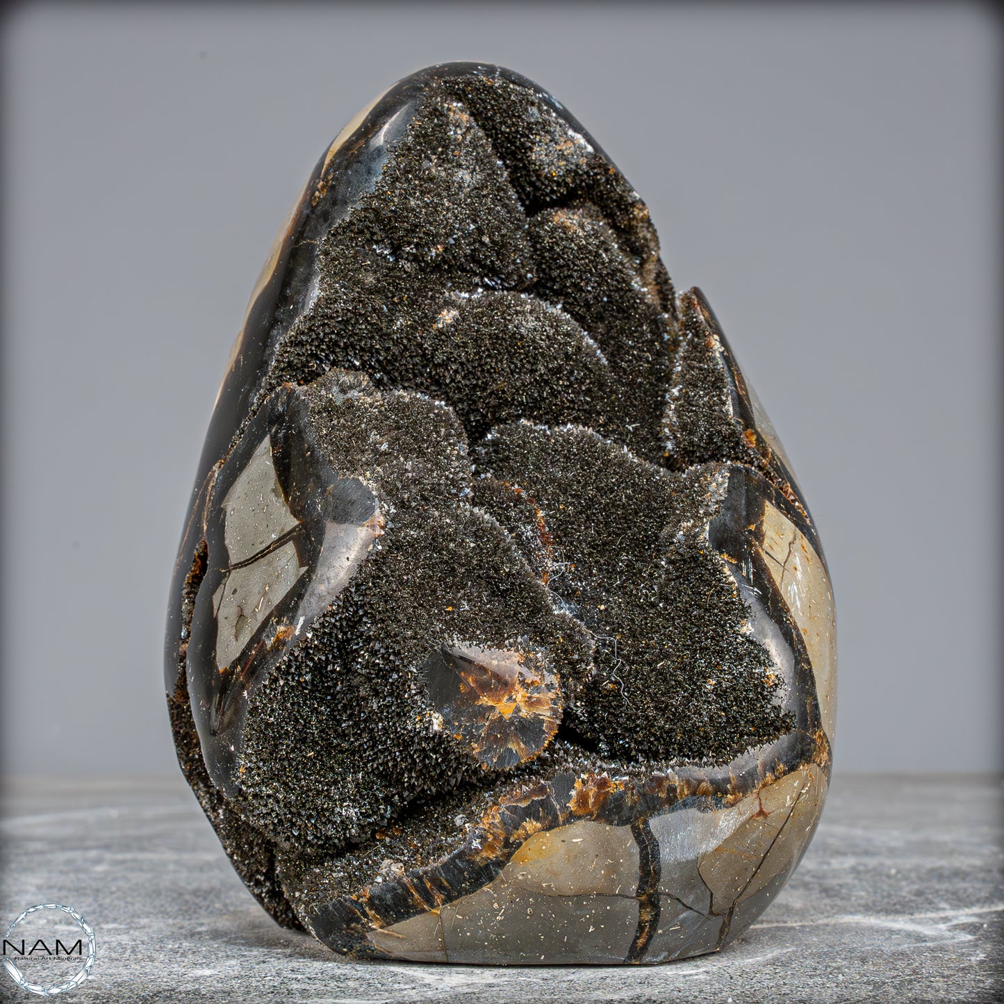Natürliche Septarien Druse mit Calzit Kristallen, Spitzenqualität - 1805,41g