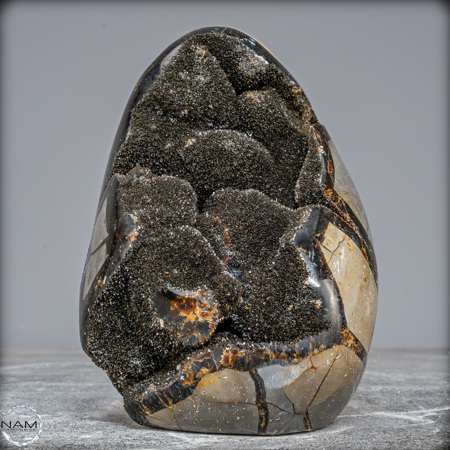 Natürliche Septarien Druse mit Calzit Kristallen, Spitzenqualität - 1805,41g