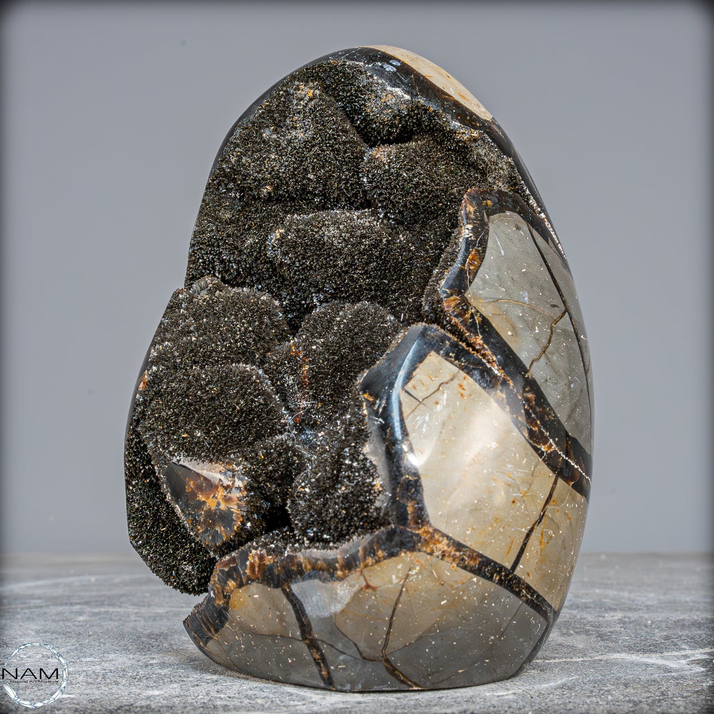 Natürliche Septarien Druse mit Calzit Kristallen, Spitzenqualität - 1805,41g