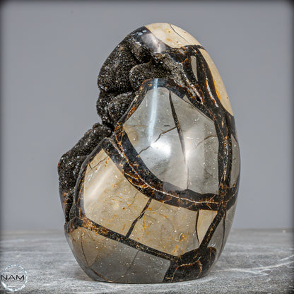 Natürliche Septarien Druse mit Calzit Kristallen, Spitzenqualität - 1805,41g