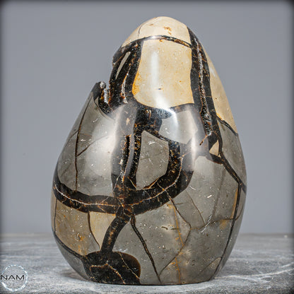 Natürliche Septarien Druse mit Calzit Kristallen, Spitzenqualität - 1805,41g