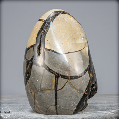 Natürliche Septarien Druse mit Calzit Kristallen, Spitzenqualität - 1805,41g