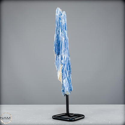 Natürlicher Kyanit-Kristall Cluster auf Ständer aus Brasilien - 596,16g