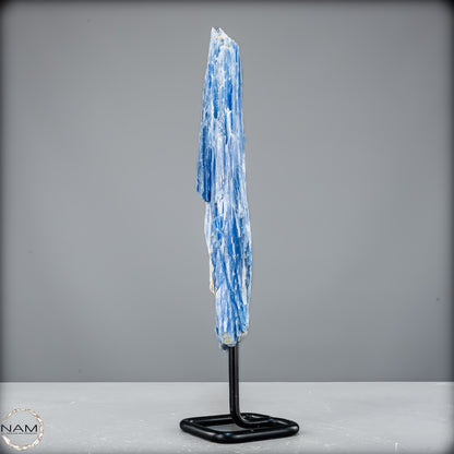 Natürlicher Kyanit-Kristall Cluster auf Ständer aus Brasilien - 596,16g