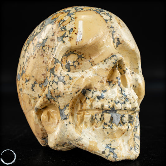 Natürlicher Indonesischer Picture Jasper-Kristall Schädel – 493,17g