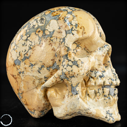Natürlicher Indonesischer Picture Jasper-Kristall Schädel – 493,17g