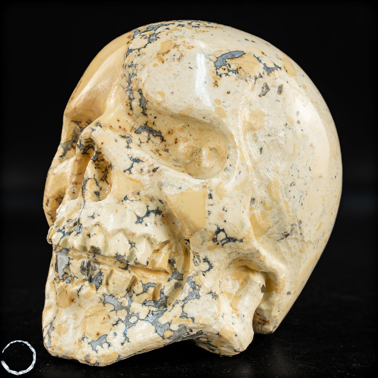Natürlicher Indonesischer Picture Jasper-Kristall Schädel – 493,17g