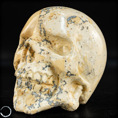 Natürlicher Indonesischer Picture Jasper-Kristall Schädel – 493,17g