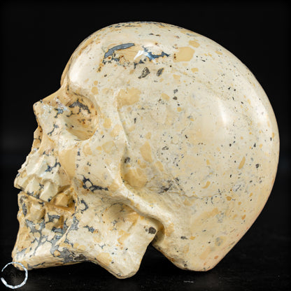 Natürlicher Indonesischer Picture Jasper-Kristall Schädel – 493,17g