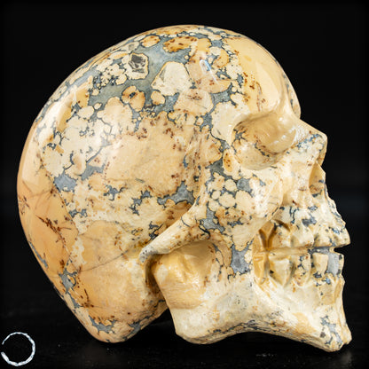 Natürlicher Indonesischer Picture Jasper-Kristall Schädel – 493,17g