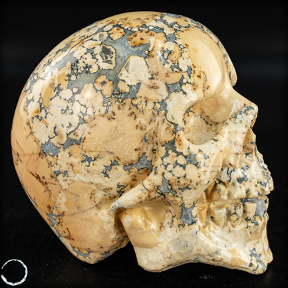 Natürlicher Indonesischer Picture Jasper-Kristall Schädel – 493,17g