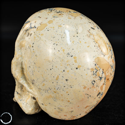 Natürlicher Indonesischer Picture Jasper-Kristall Schädel – 493,17g