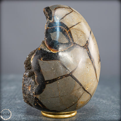 Natürliches Septarien Druse Ei mit Calcit Kristallen - 1354,33g
