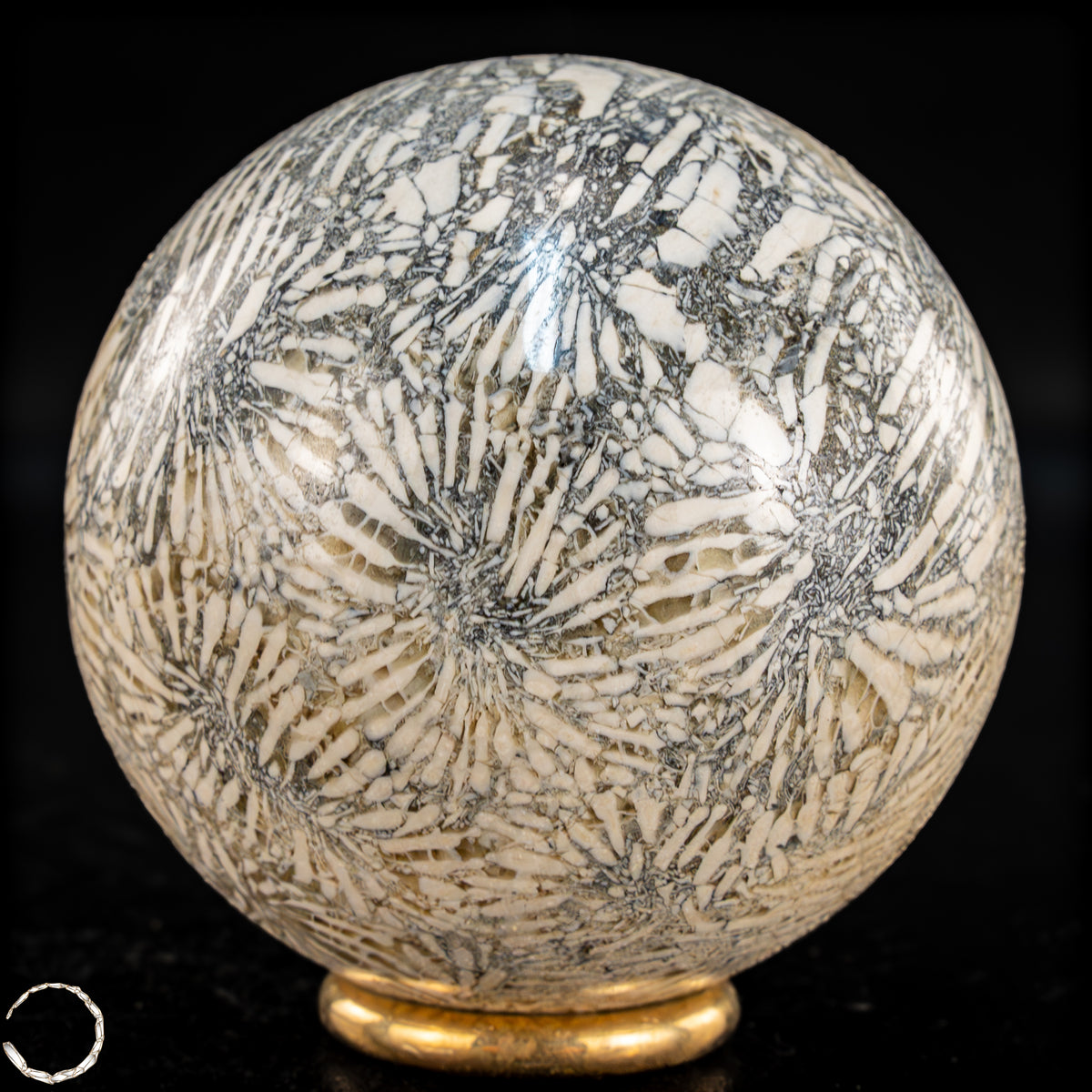 Natürliche Fossile Koralle als Kugel - 324,53g - 62,5mm