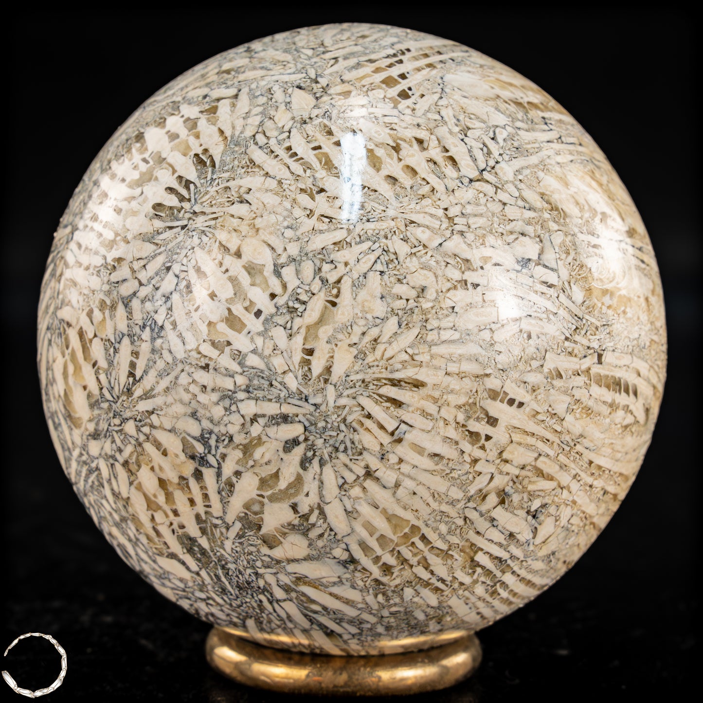 Natürliche Fossile Koralle als Kugel - 324,53g - 62,5mm