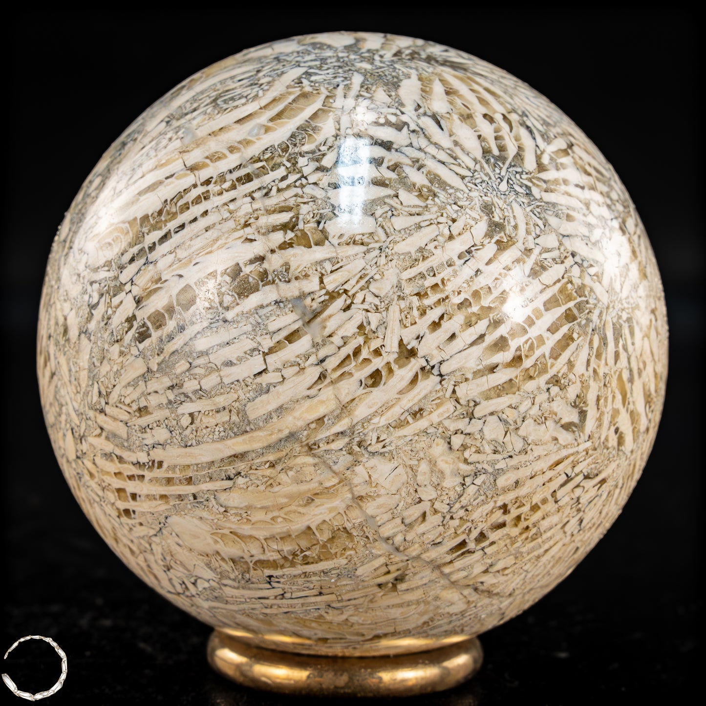 Natürliche Fossile Koralle als Kugel - 324,53g - 62,5mm