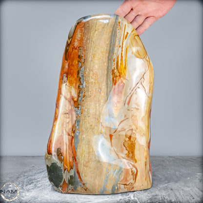 Natürliche Große Polychrome Jaspis Kristall-Freiform - 23724,59g