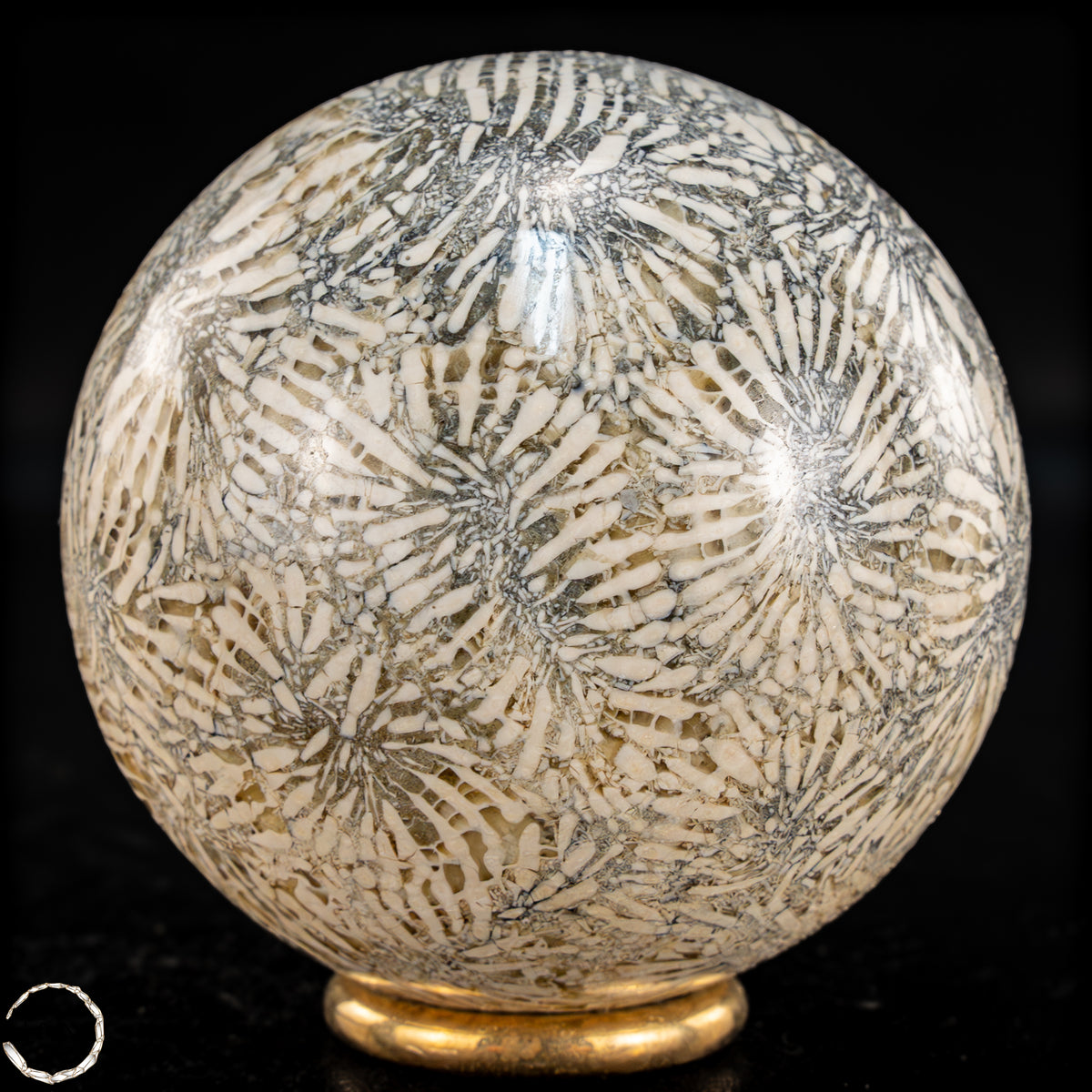 Natürliche Fossile Koralle als Kugel - 324,53g - 62,5mm