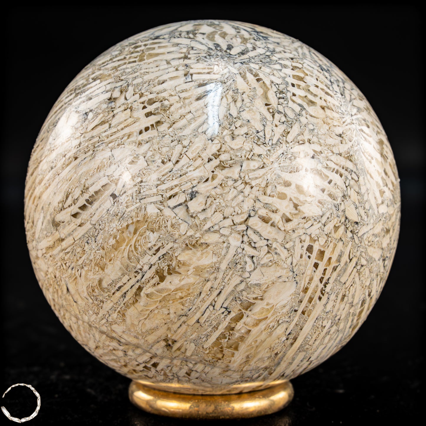 Natürliche Fossile Koralle als Kugel - 324,53g - 62,5mm